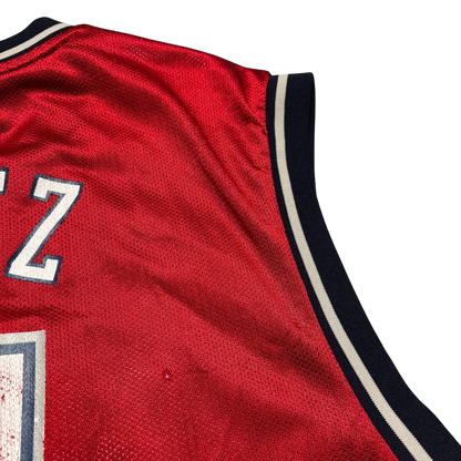 New Jersey Nets Brook Lopez Jersey (Large)