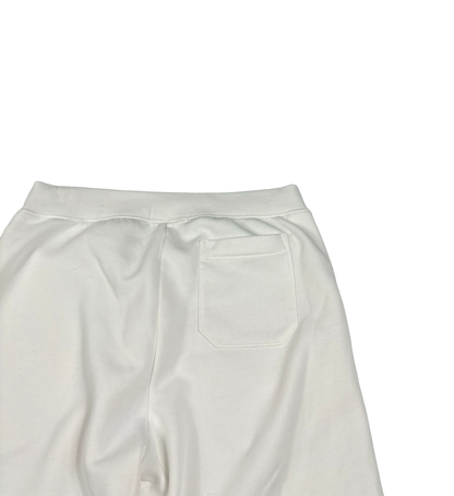 Ralph Lauren Polo Sport Shorts (Medium)