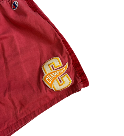 Vintage Champion Shorts (Large)